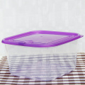 Easylock Frozen Microondas Plastic Crisper